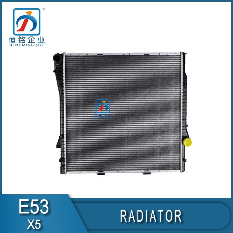 X5 E53 Brand New Auto Cooling Radiator for 3.0i 4.4i 3.0d 17107544668