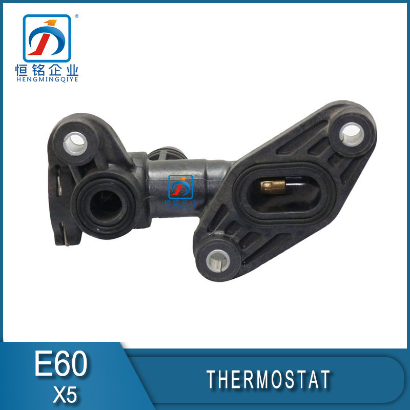 Automotive Parts Brand New X5 E70 Engine Coolant Thermostat 17107558267